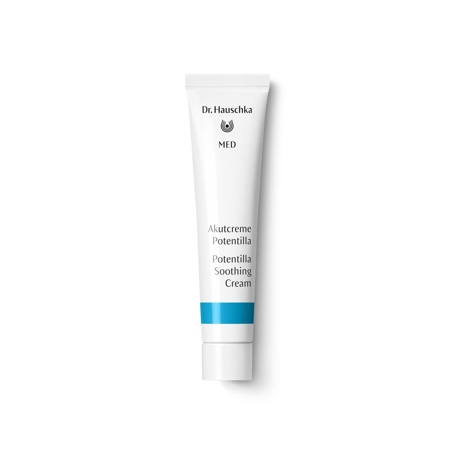 Akutcreme Potentilla (20 ml)